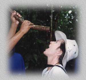 Kaye drinking fresh water from a tree vine