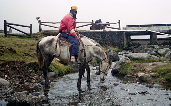 A llaneros horseman stops by a stream to let his horse have a drink.