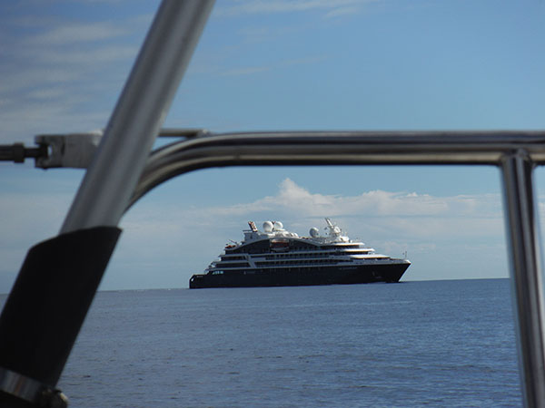 Line up of large boats going in and out of Peterhead Harbour